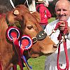 Northumberland County Show